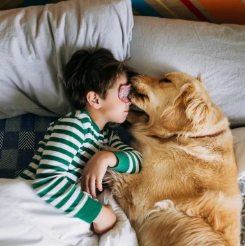 Best Breed Dogs Puppies From Pet Care Center in Chennai A Man and his beloved dog are enjoying a calm time against the backdrop of the metropolis.