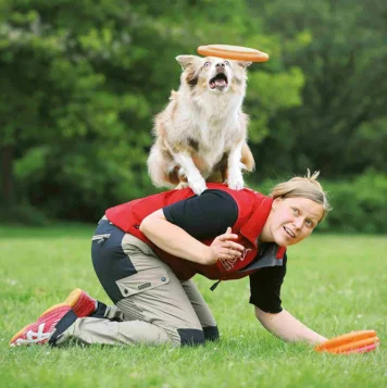 Best Pet Dog Training Service Center in Coimbatore Best Pet Dog Training Service Center in Coimbatore