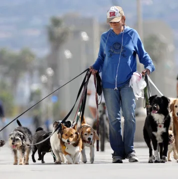 Best Professional Dog Walking Services in Chennai woman walking with a group of happy dogs along a scenic road, providing good dog daycare services.